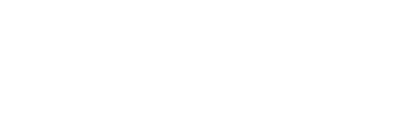 2x Dental Implants